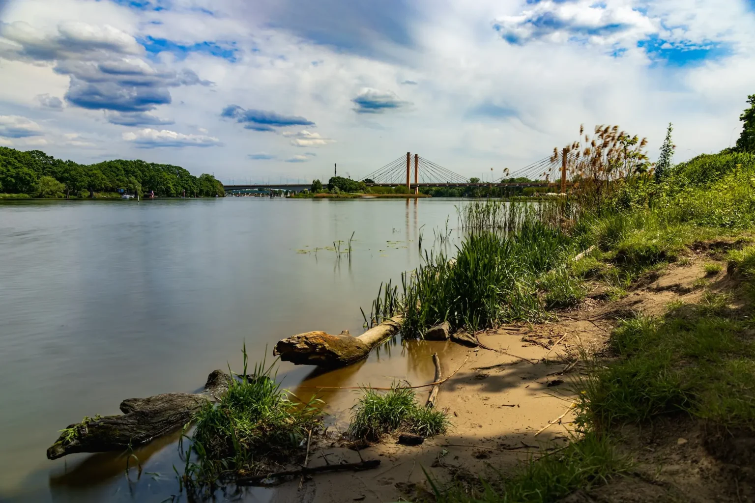 odra wrocław