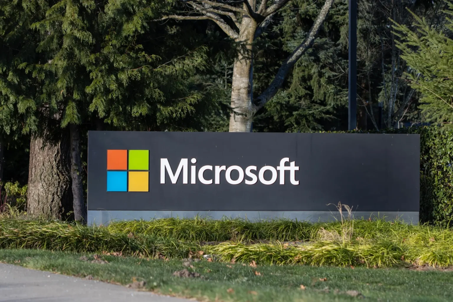 microsoft esg