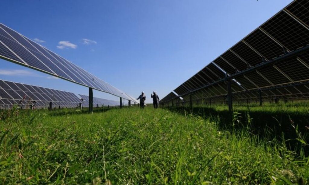 Meta kupuje 100% energii odnawialnej z nowego projektu solarnego o wartości 900 mln dol.